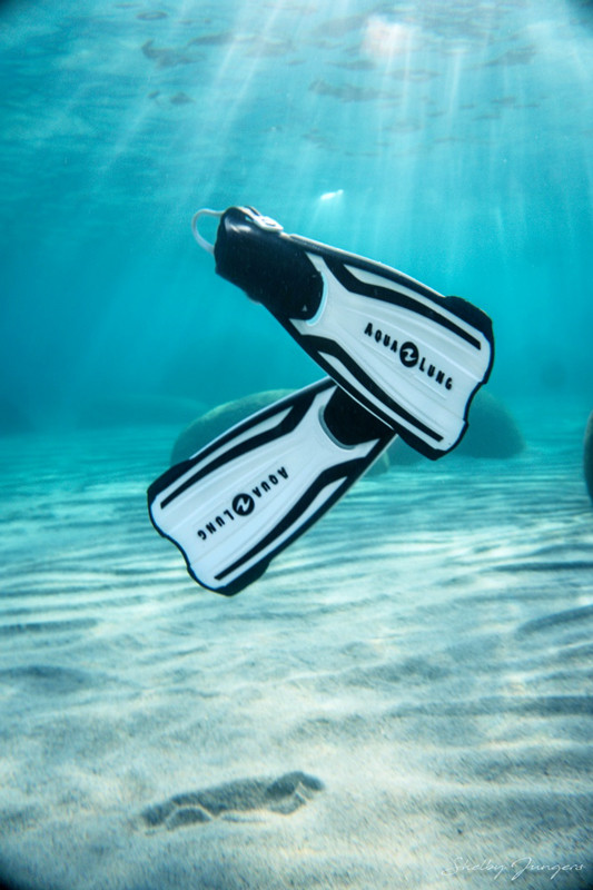 Ласты для плавания Amika Aqua Lung