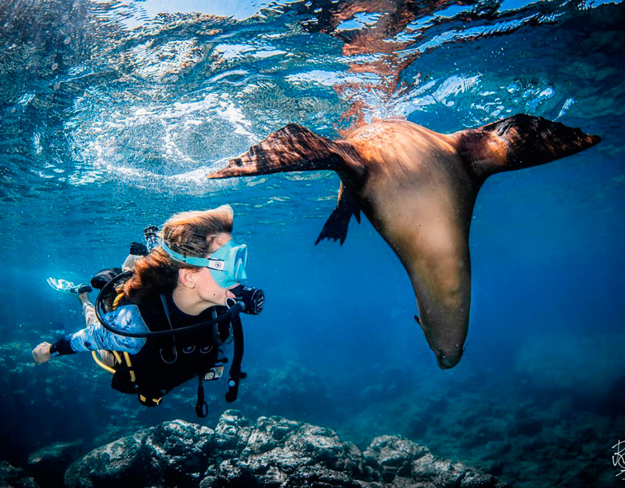 Маска для дайвинга и плавания Plazma Aqua Lung